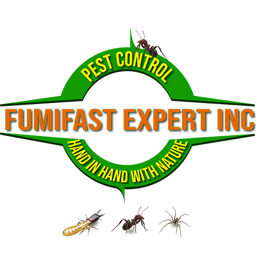 FumiFast Expert Inc. 